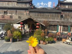 -二十八里太湖船菜(吉祥路店)