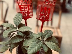 -悟饮门市景店