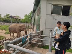 -西安秦岭野生动物园