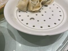 -大队长大灶鹅