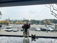 -奢月酒店(成都华西二院锦江院区三圣花乡地铁站店)
