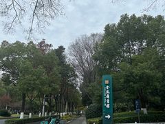 -金陵图书馆