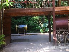 -西双版纳基诺山寨