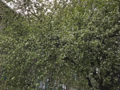 -山东师范大学(千佛山校区)