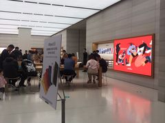 -Apple零售店(济南恒隆广场店)