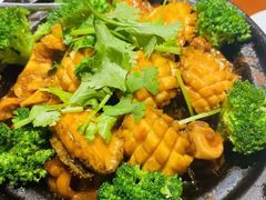 -金穗园·砂锅粥.醉鸡煲火锅(长寿路店)