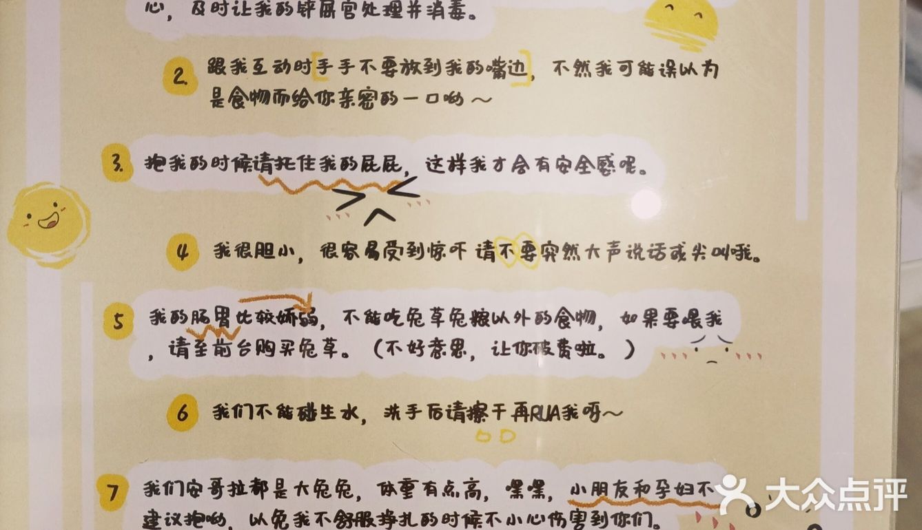 我是一只可爱的兔兔