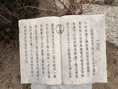 -纪晓岚文化园
