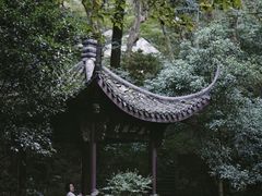 -虎跑公园