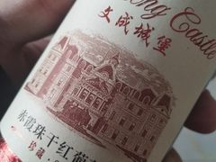 -文成城堡