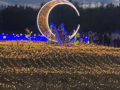 -亚心花海主题乐园
