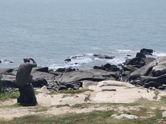 -崇武古城风景区