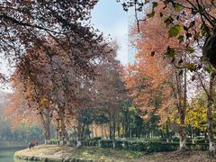 -沙河三洞古桥公园