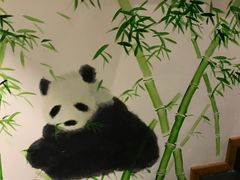 -疯狂的筷子老灶九宫格火锅