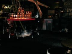 大堂-毛辣果·酸