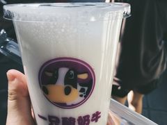 -一只酸奶牛(八一路店)