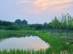 -张家湾公园