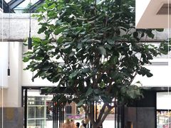 -大树餐厅(红旗街万达店)