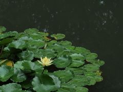 -兰亭风景区