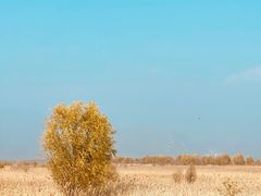 -野鸭湖国家湿地公园