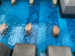 -固安来康郡来康温泉
