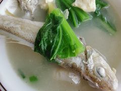 -蛇口康乐快餐鱼仔档(翠苑小区店)