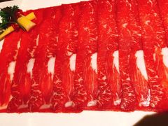 -汤城·料青山
