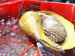 -渔民新村(番禺总店)