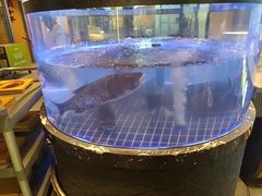-皇厨荣升名厨家宴.赣州客家菜