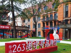 -华山263老字号品牌馆