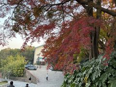 -上海市保健医疗中心