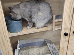 -艺味深尝(云锦路店)
