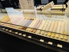 -BLACKSWAN黑天鹅(环球店)