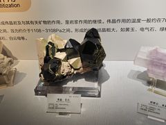 -湖南省地质博物馆