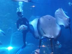 -华夏文旅海洋公园