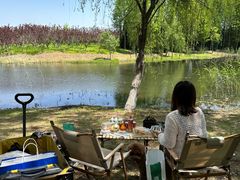 -尚贤河湿地