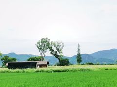 -良渚古城遗址公园