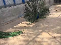 -森林公园(尖草坪区)