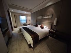 -河源万绿湖美思威尔顿酒店