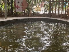 -龙达温泉生态城