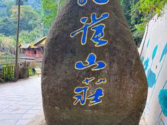 -西双版纳原始森林公园