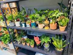 -何兮花店·气球派对鲜花店(马桥银春路万科城店)