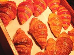 -上海和平饭店茉·莉酒廊 Jasmine Lounge
