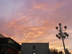 -高玛纳驴肉火烧(河间总店)