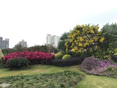 -文华公园(禅城区)