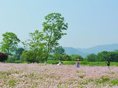 -良渚古城遗址公园