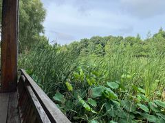 -同里国家湿地公园