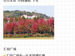 -八大关景区