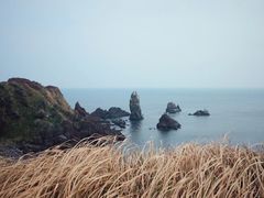 -涉地可支