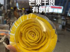 -河内内排国际机场